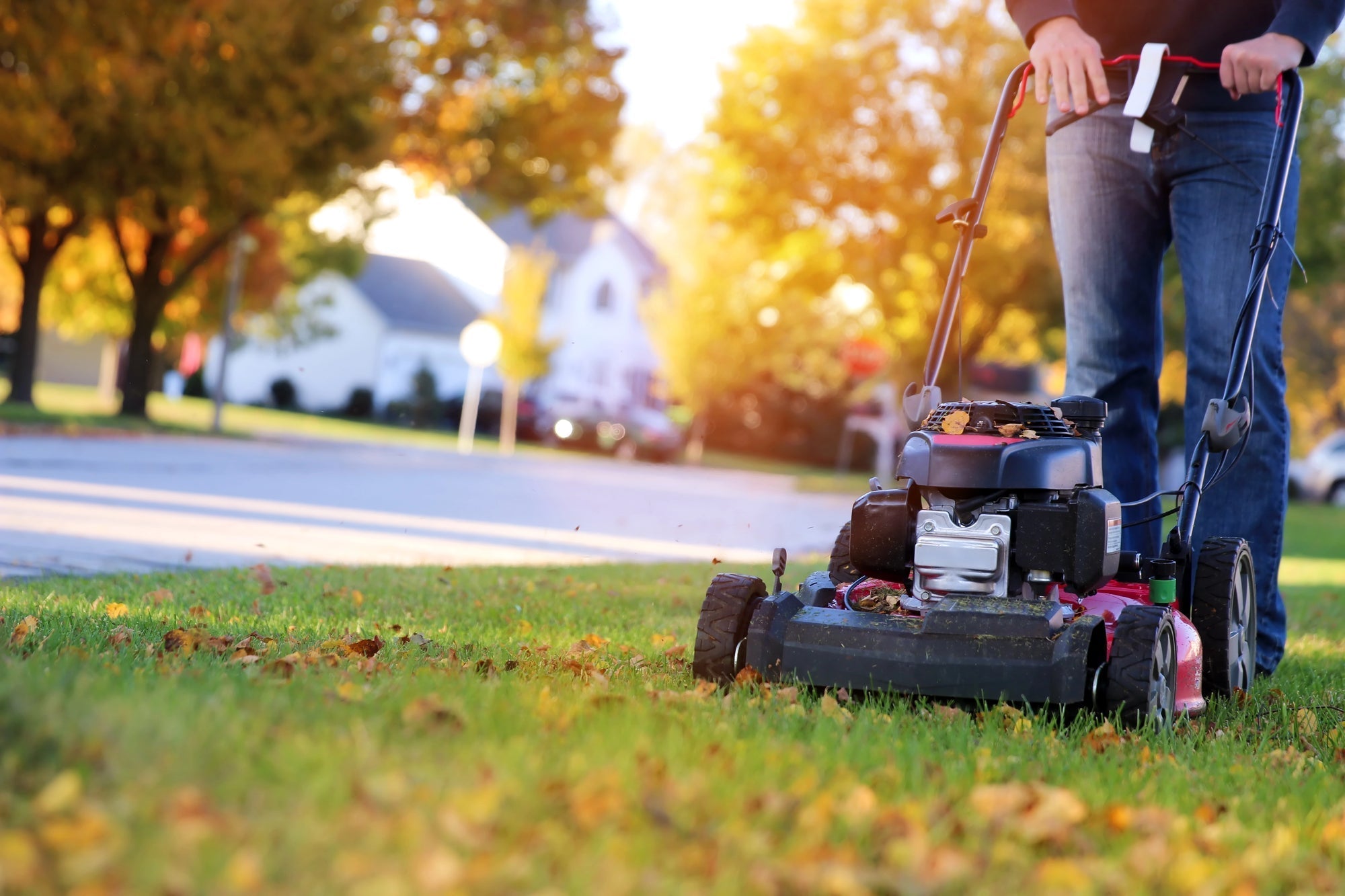 Rasenmähen im November: Wann sollte man das letzte Mal Rasen mähen?