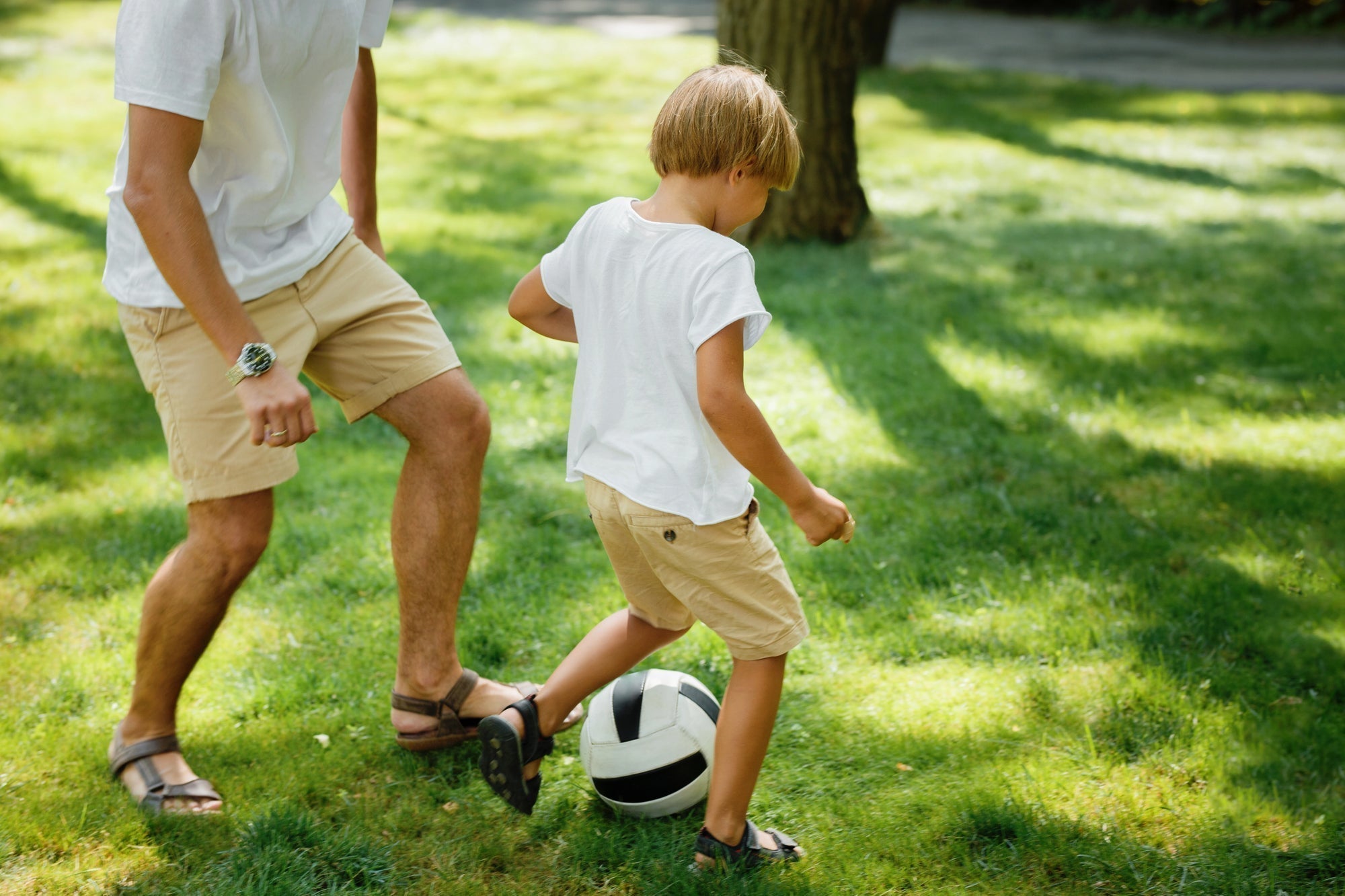 Rasenpflege im Sommer: Sportrasen, Spielrasen, Fußballrasen pflegen