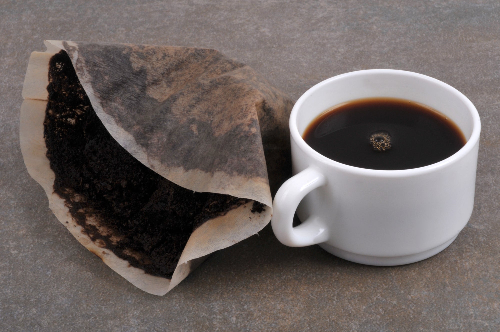 Kaffeesatz als Dünger verwenden: Profitiert dein Garten davon?