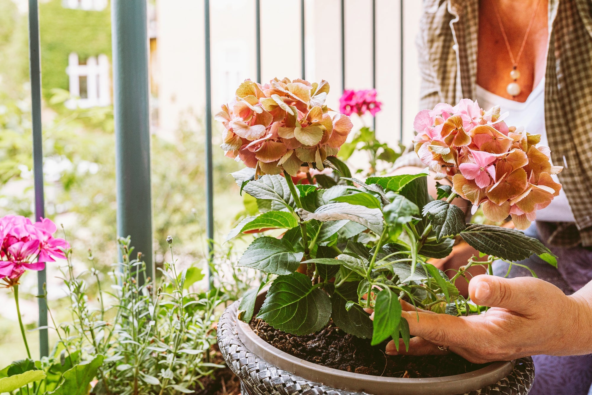 Blumenkasten bepflanzen Titelbild