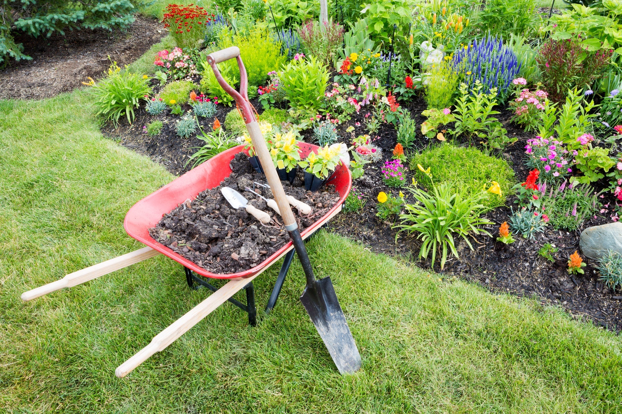 Garten im Frühling Titelbild