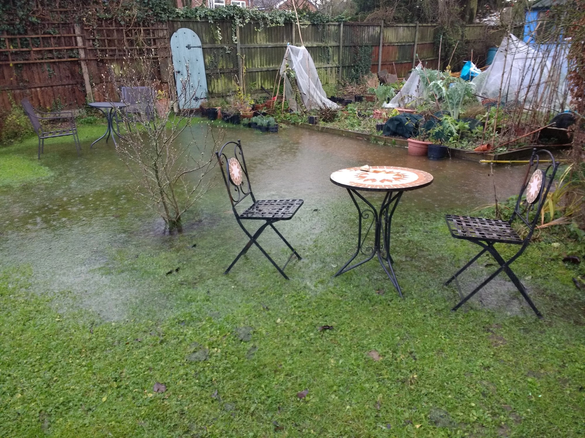 Gartenpflege nach Starkregen: Was dein Garten jetzt braucht