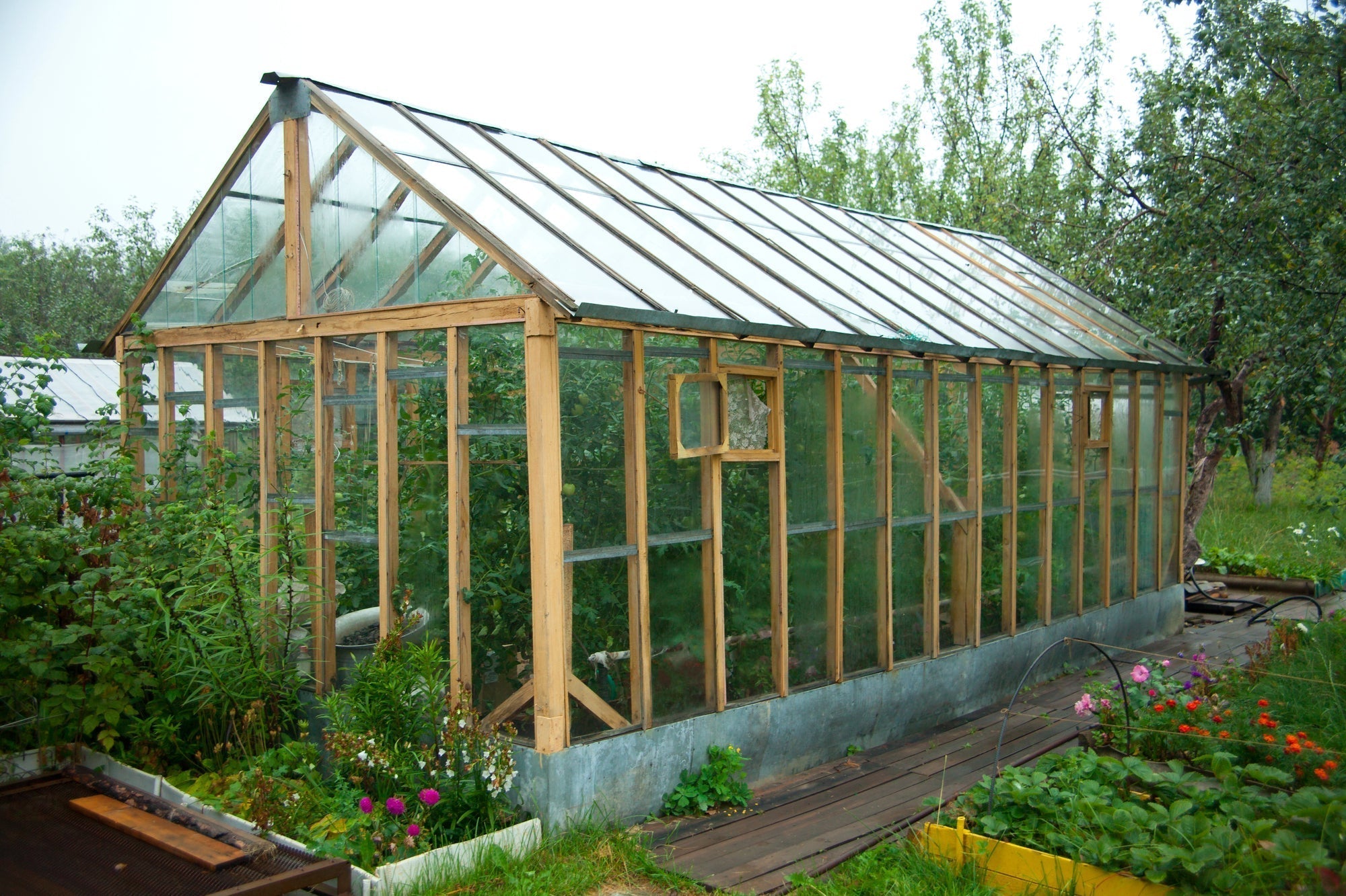 Gewächshaus selber bauen: Schritt-für-Schritt-Anleitung