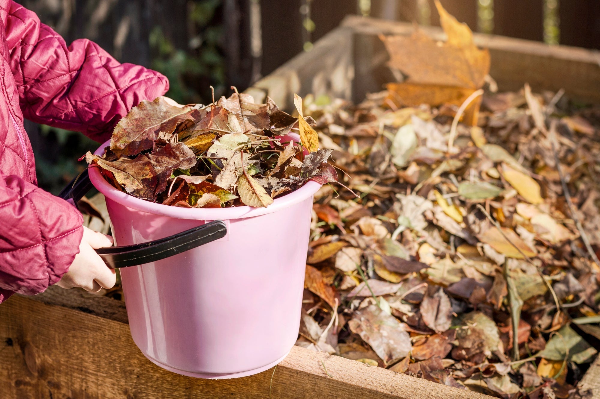 Herbstlaub kompostieren Titelbild
