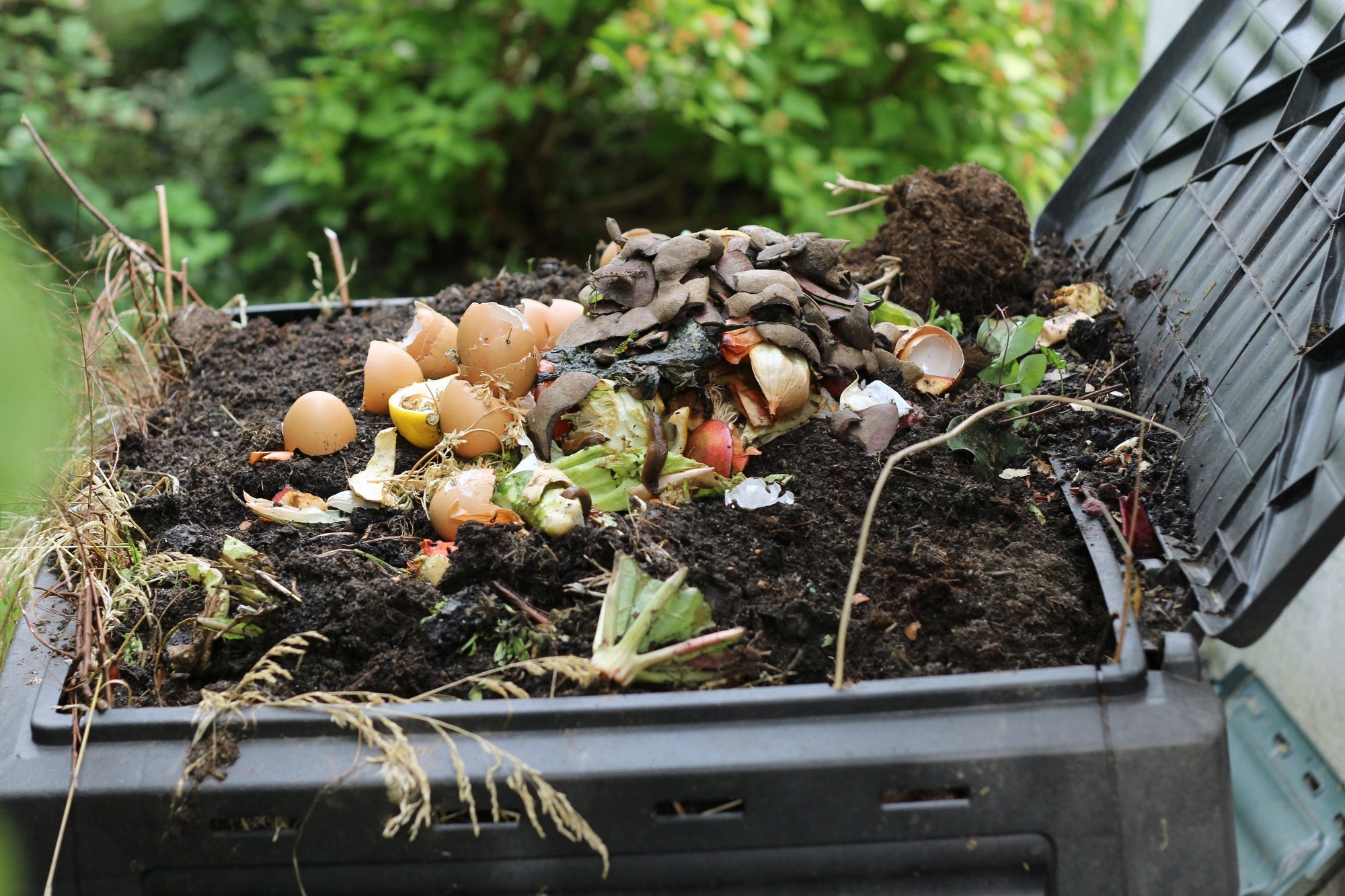Richtig kompostieren Titelbild